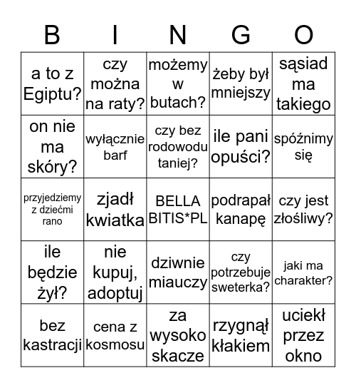 ten kotek, temu kotku, kotkowi. i za ile? Bingo Card