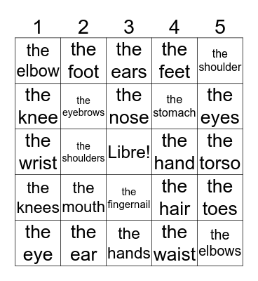 El Cuerpo- the body Bingo Card