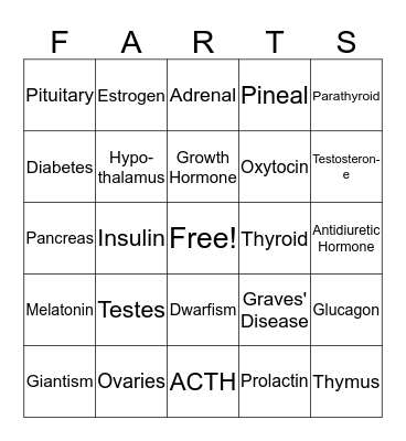 Endocrine Game Bingo Card