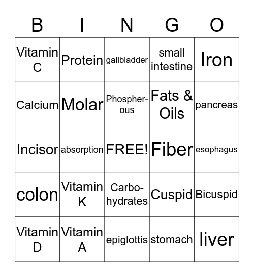 Vitamins/Minerals/The Digestive System Bingo Card