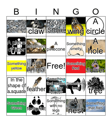 I Spy Hike Bingo Card