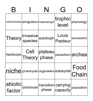 Final Review Bingo Card