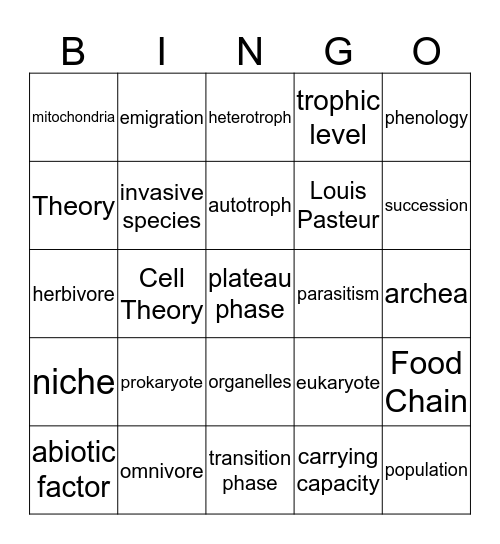 Final Review Bingo Card