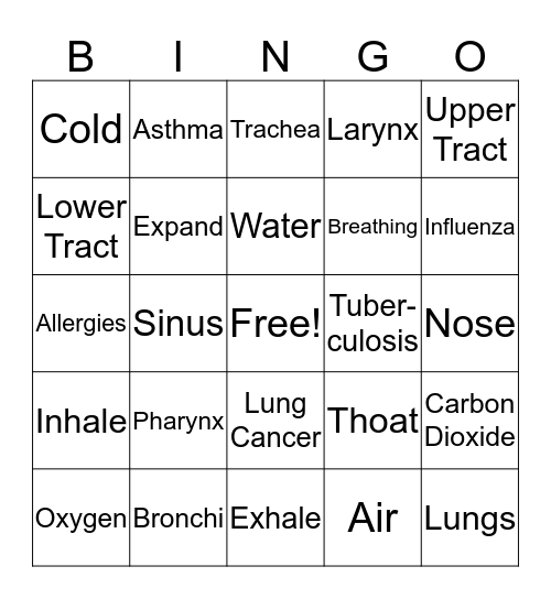 The Respiratory System Bingo Card