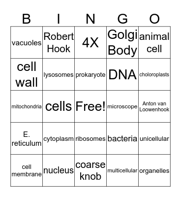 Anatomy of a Cell Bingo Card