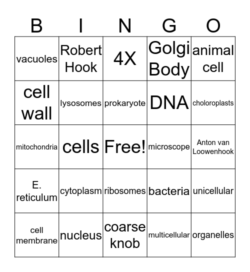 Anatomy of a Cell Bingo Card