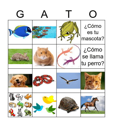 Los animales dómesticos Bingo Card
