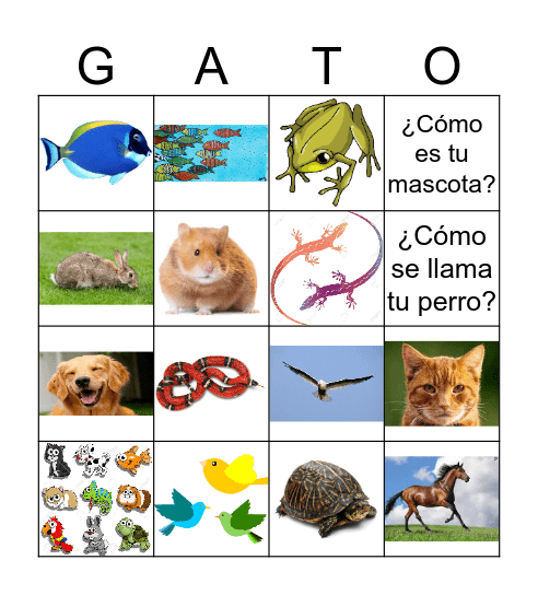 Los animales dómesticos Bingo Card