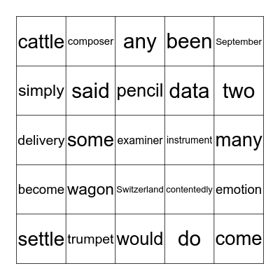 Guided Spelling Lesson 20 Bingo Card