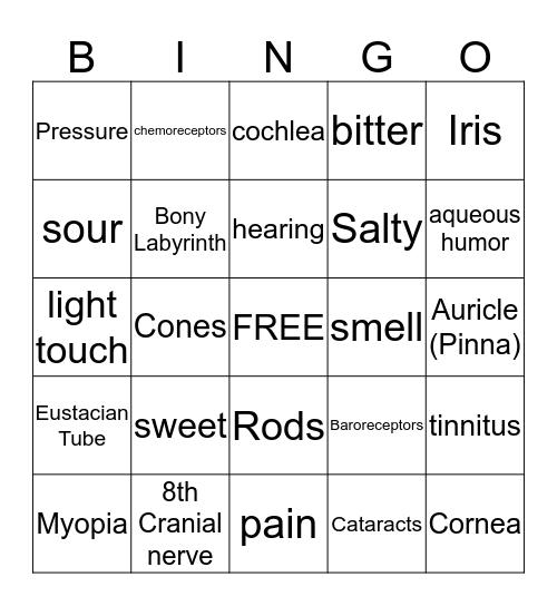 Senses Review Bingo Card