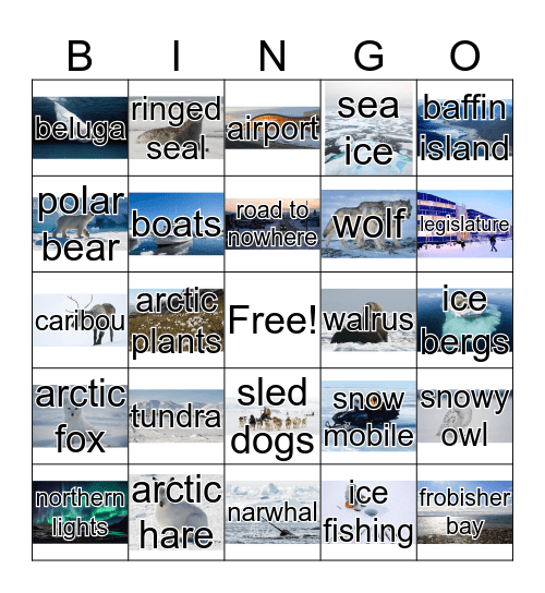 Iqaluit Bingo Card