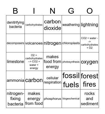 Cycles Bingo Card