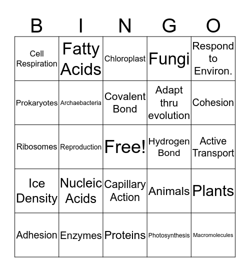 Quarter 2 Biology Review Bingo Card