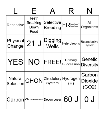 Final Exam Review Bingo Card
