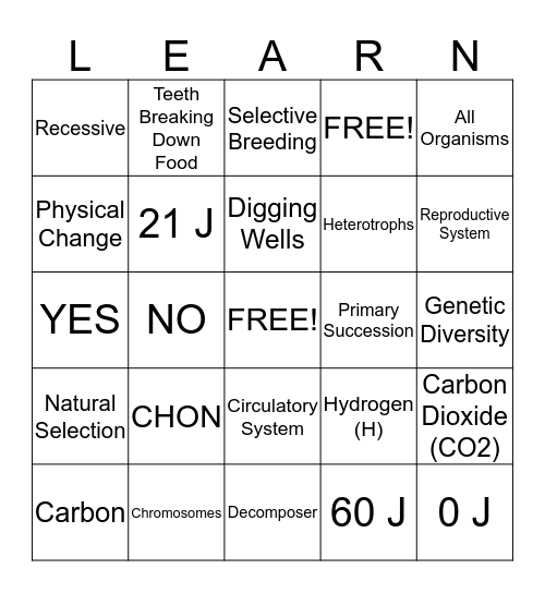 Final Exam Review Bingo Card