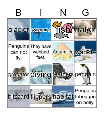Penguins Bingo Card