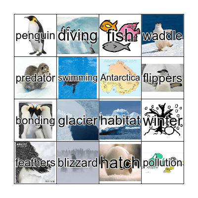 Ms. Darce and her Penguins Bingo Card