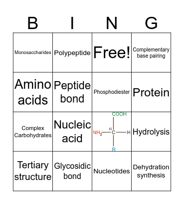 Chemistry part II Bingo Card