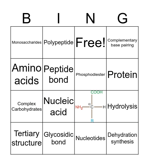 Chemistry part II Bingo Card