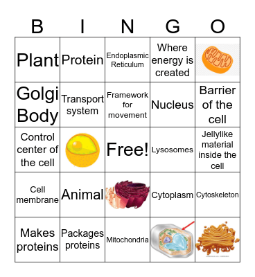 Cell Parts Bingo Card