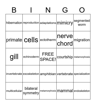 Kingdom Animalia Bingo Card