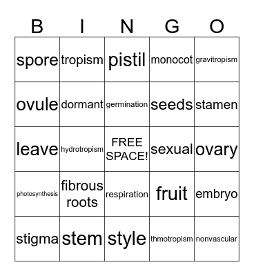 Kingdom Plantae Bingo Card