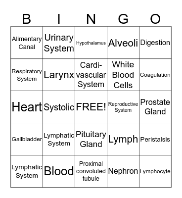 Human Anatomy & Physiology Review Bingo Card