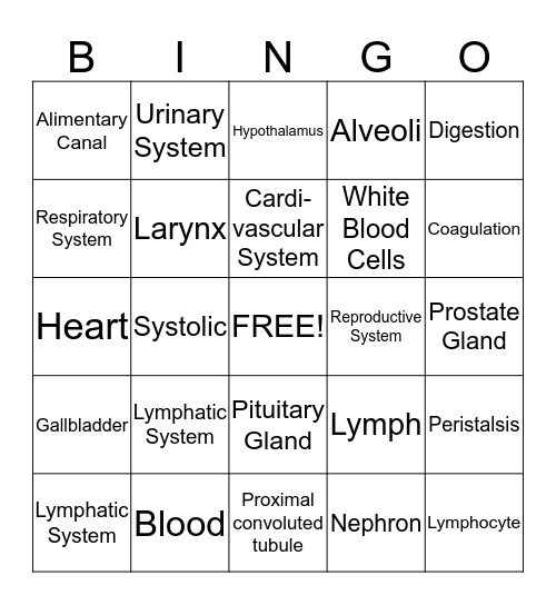 Human Anatomy & Physiology Review Bingo Card