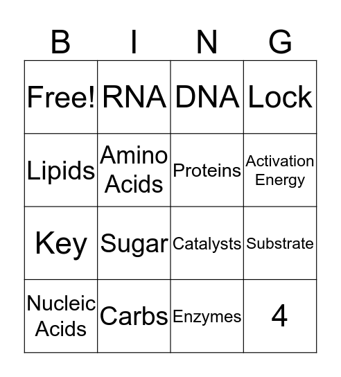 Organic Biochemistry Bingo Card