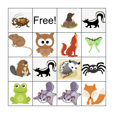 Nocturnal Animals Bingo Card