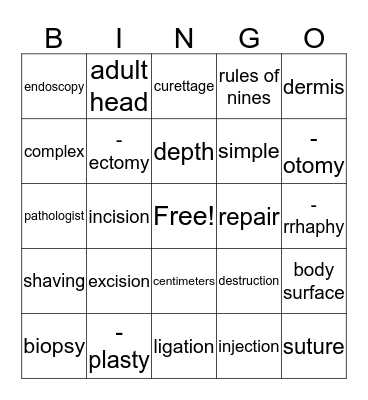 Chapter 14 Vocabulary Test  Bingo Card