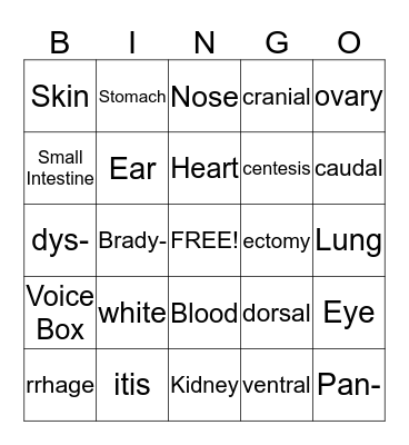 Medical Terminology Chapter 1 Bingo Card