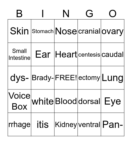 Medical Terminology Chapter 1 Bingo Card