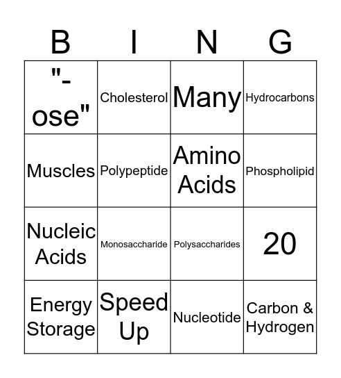 Biochemistry Review Bingo! Bingo Card