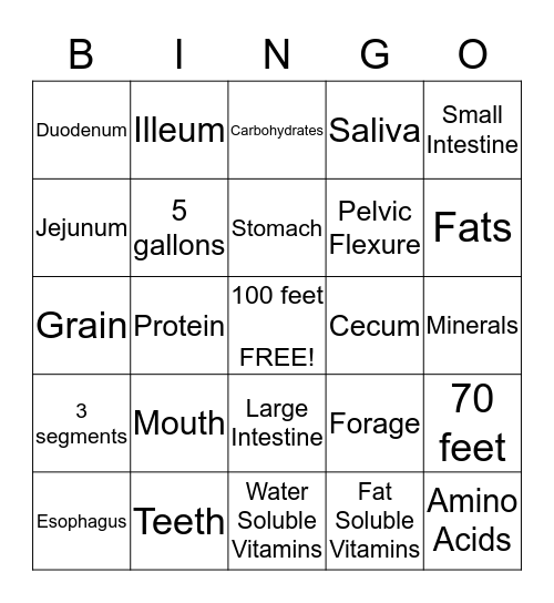Digestive Tract Bingo Card