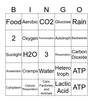 Photosynthesis & Cellular Respiration Bingo Card