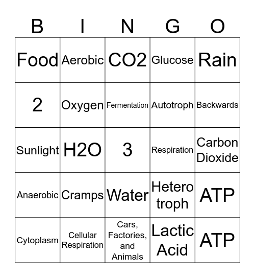 Photosynthesis & Cellular Respiration Bingo Card