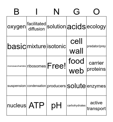 biology bingo Card