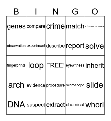 CSI Vocabulary Review Bingo Card