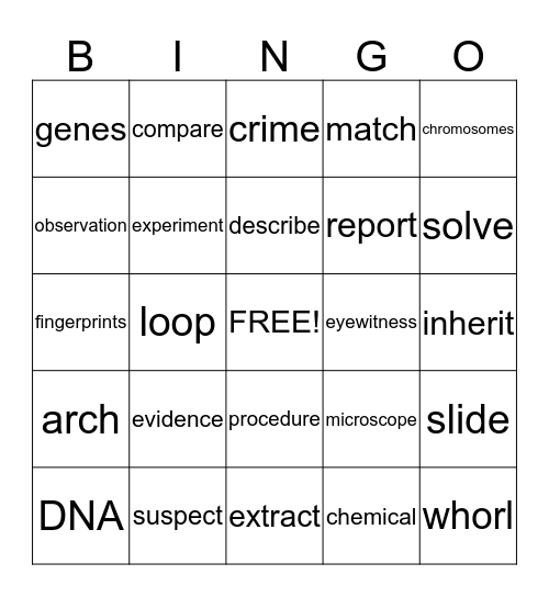 CSI Vocabulary Review Bingo Card