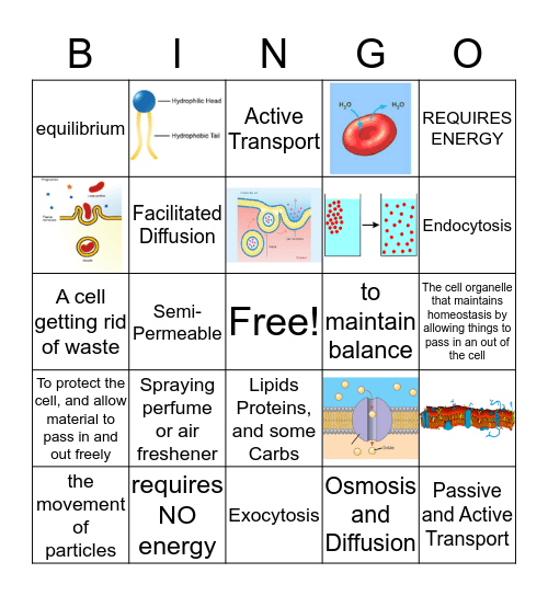 Cell Transport Bingo Card