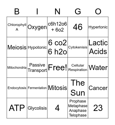 Bio-Bingo Card