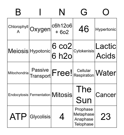 Bio-Bingo Card