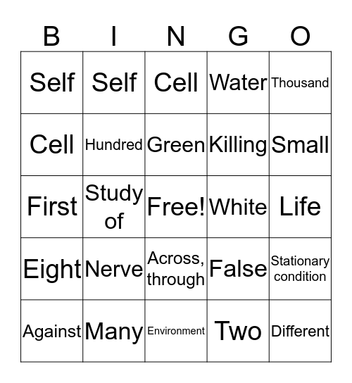 Root Word Bingo Card