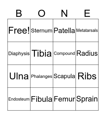 Skeletal System Bingo Card