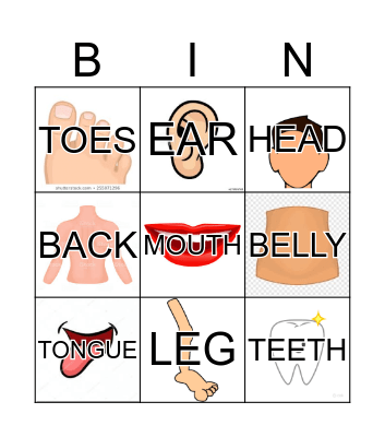 THE HUMAN BODY Bingo Card