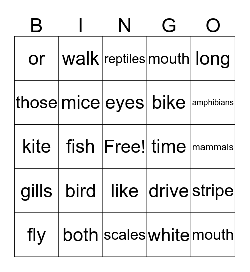 Animal Groups Bingo Card