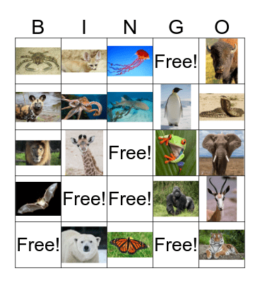 My Wild Self Bingo! Bingo Card