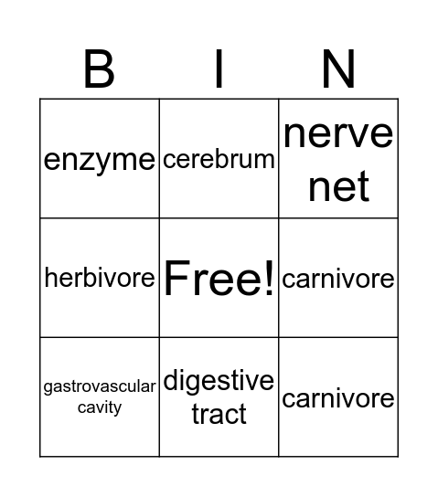 Biology Bingo Card