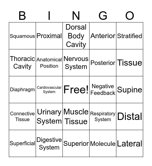 Anatomy Bingo Card
